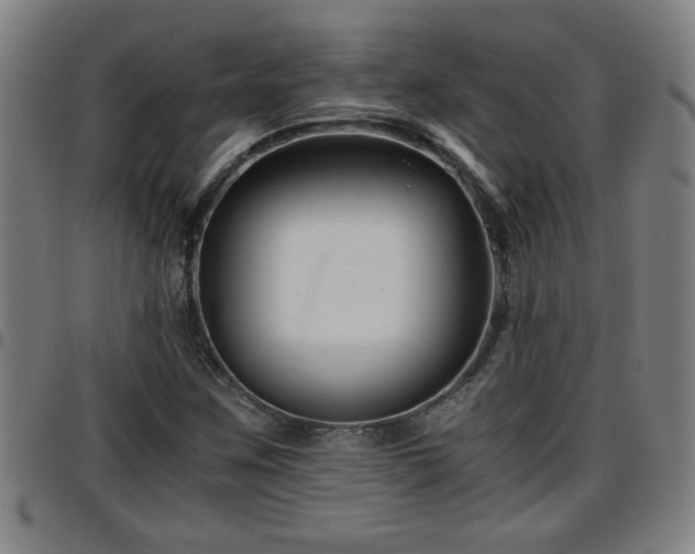 X0000096381259200801311251