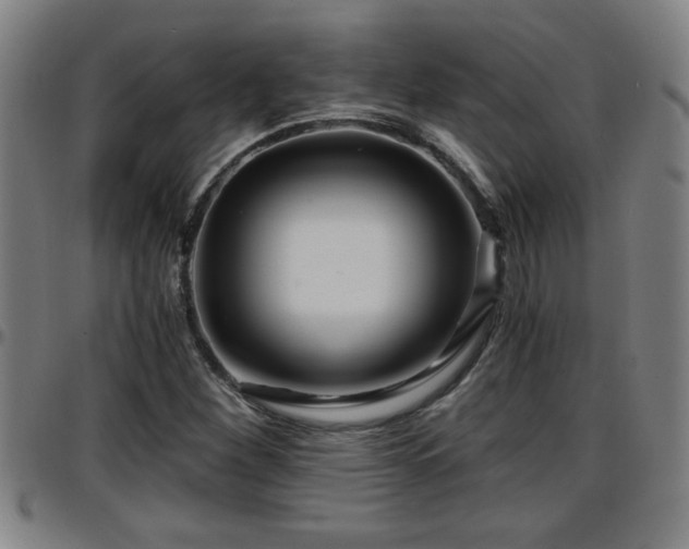X0000096381260200801311251