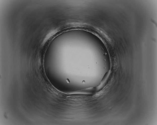 X0000096381261200801311251