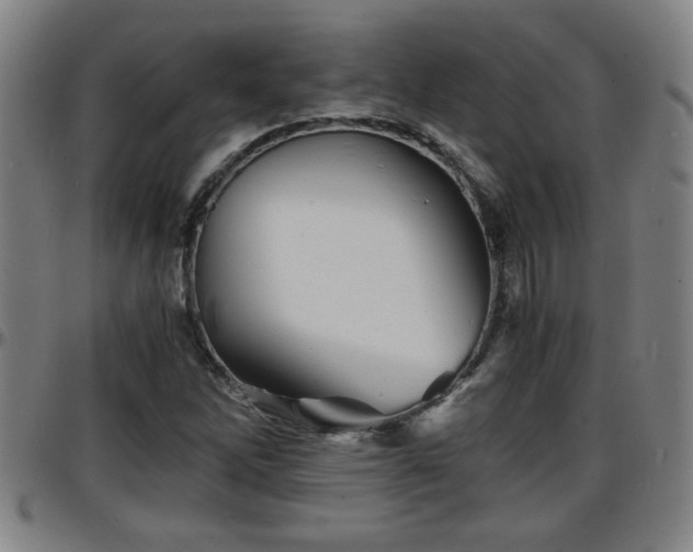 X0000096381262200801311251