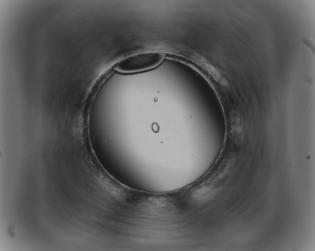 X0000096381264200801311251