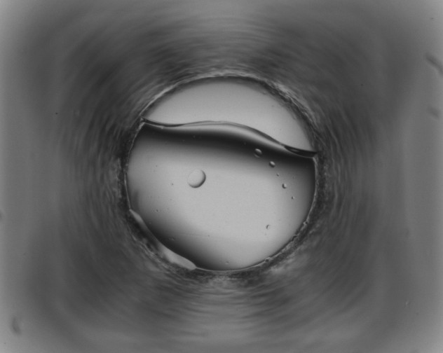 X0000096381265200801311251