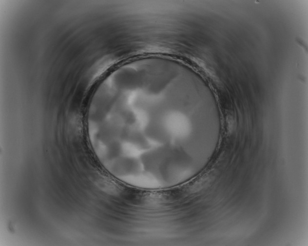 X0000096381266200801311251