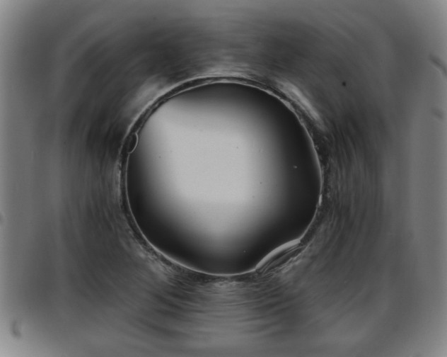 X0000096381268200801311251