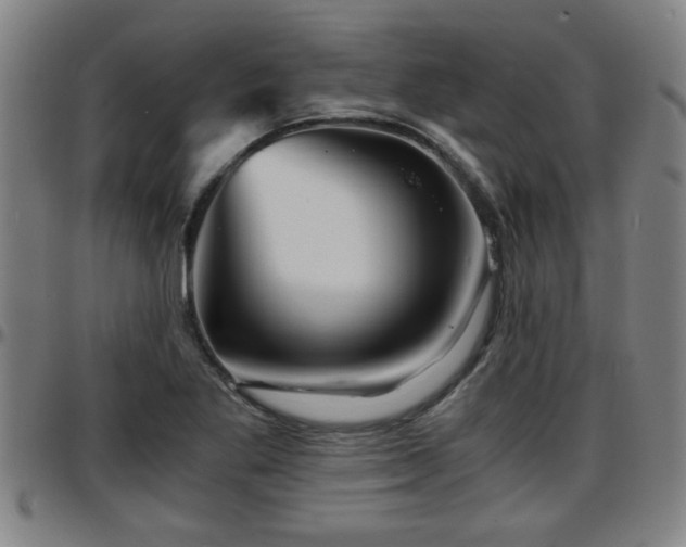 X0000096381269200801311251