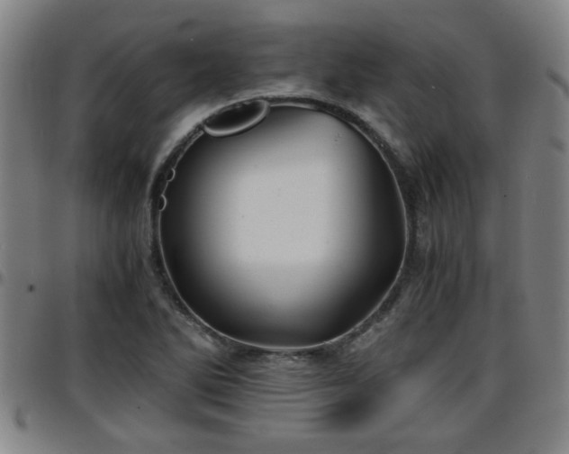 X0000096381270200801311251