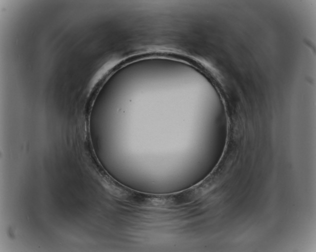 X0000096381271200801311251