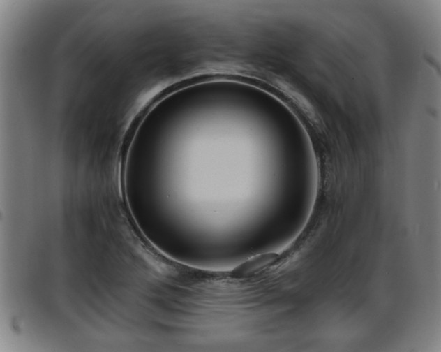 X0000096381272200801311251