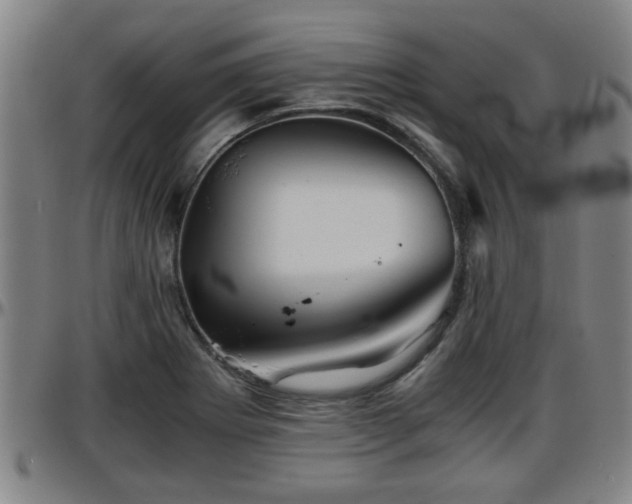 X0000096381273200801311251