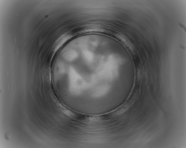 X0000096381274200801311251
