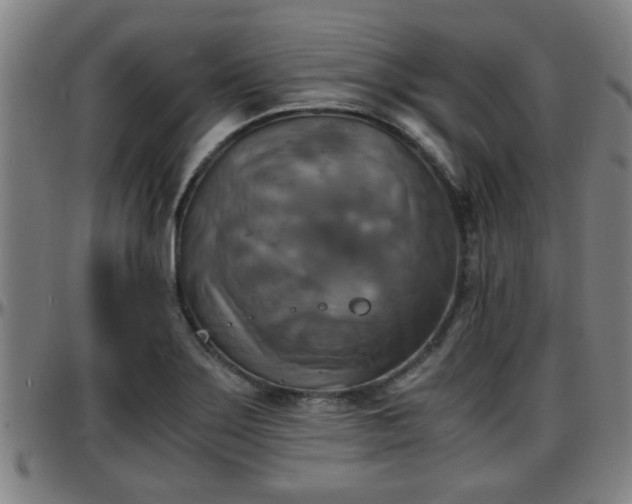 X0000096381275200801311251