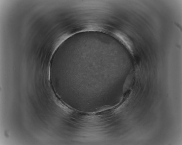 X0000096381276200801311251