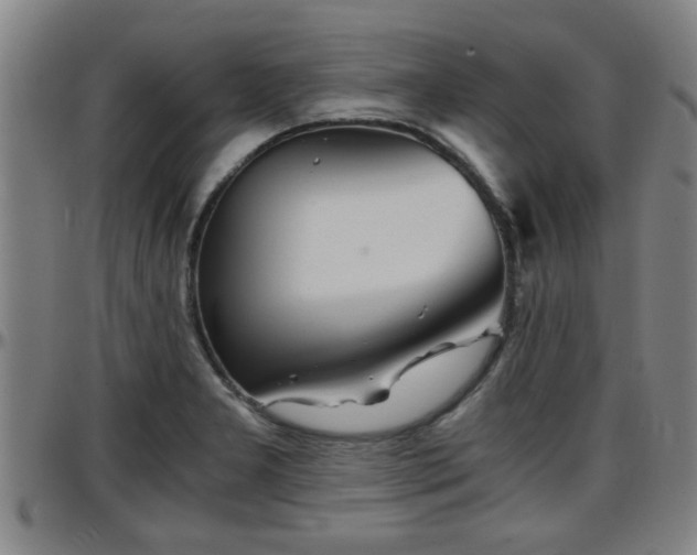 X0000096381277200801311251