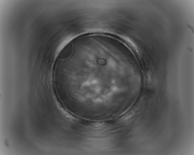 X0000096381279200801311251