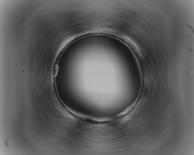 X0000096381280200801311251