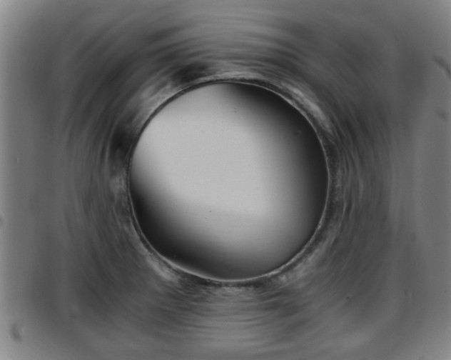 X0000096381281200801311251