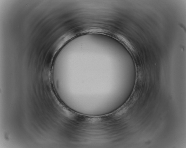 X0000096381282200801311251