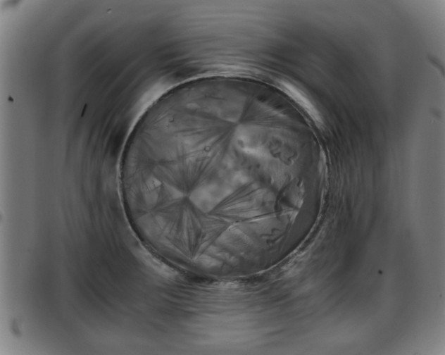 X0000096381283200801311251
