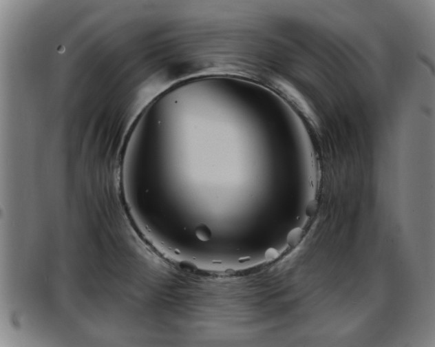 X0000096381284200801311251
