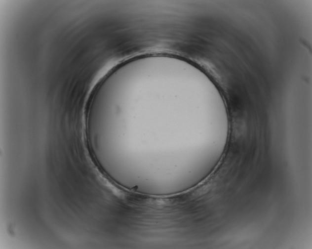 X0000096381286200801311251