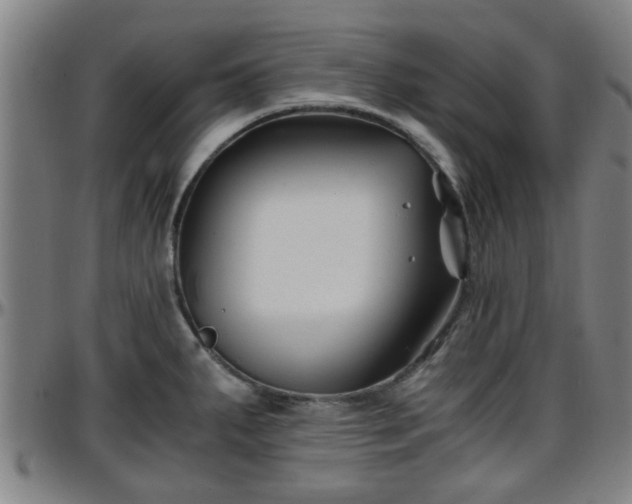 X0000096381287200801311251