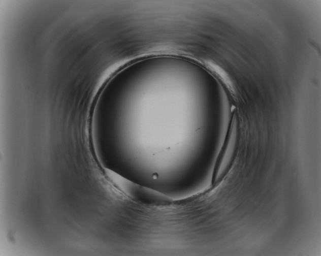 X0000096381288200801311251