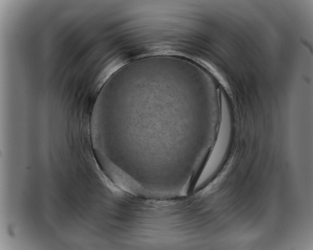 X0000096381289200801311251