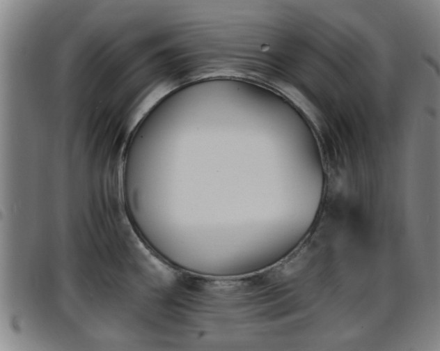 X0000096381290200801311251