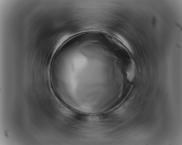 X0000096381291200801311251