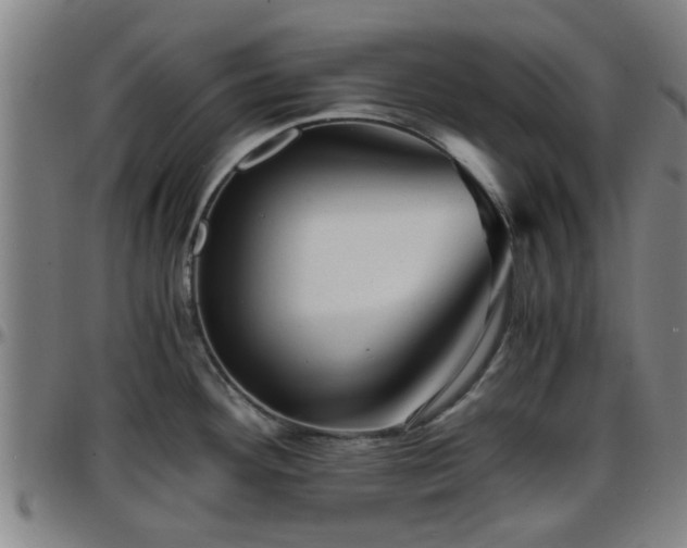 X0000096381292200801311251