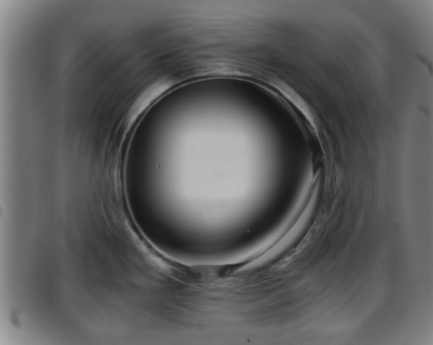 X0000096381293200801311251