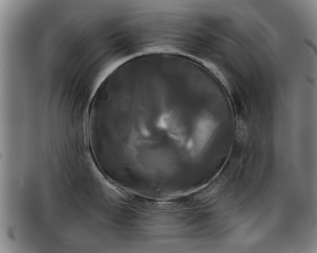X0000096381295200801311251
