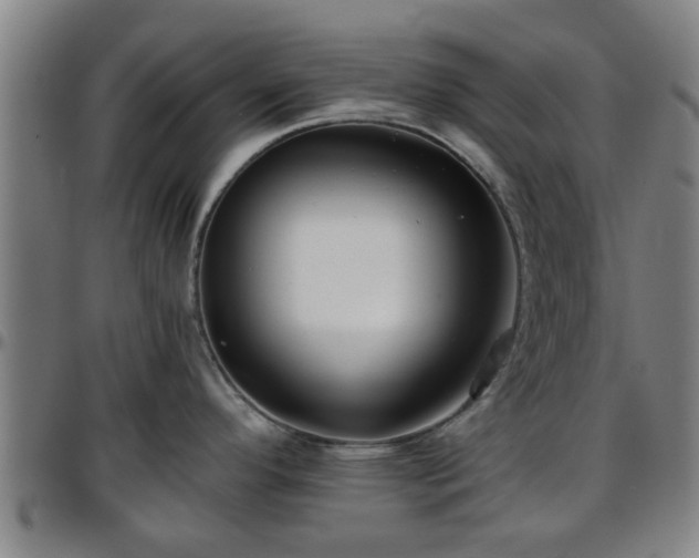 X0000096381296200801311251