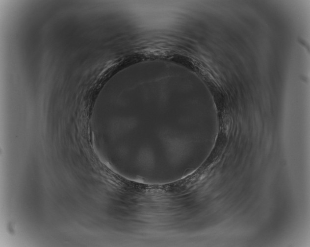 X0000096381297200801311250