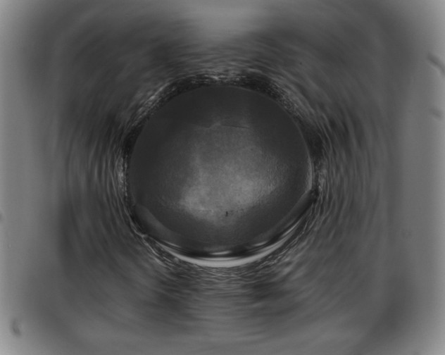 X0000096381298200801311250