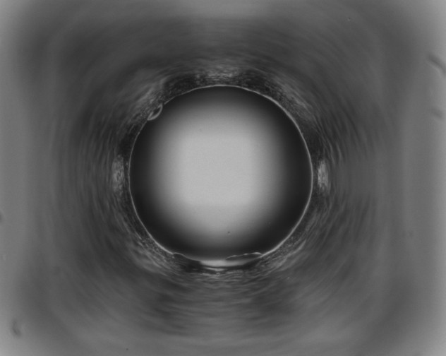 X0000096381299200801311250