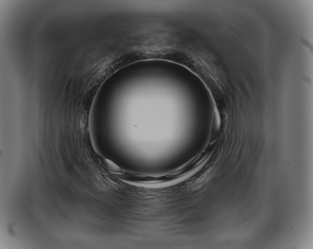 X0000096381300200801311250