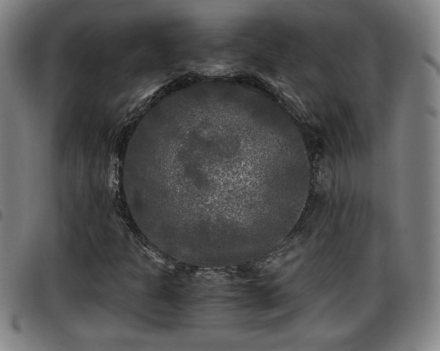 X0000096381301200801311250