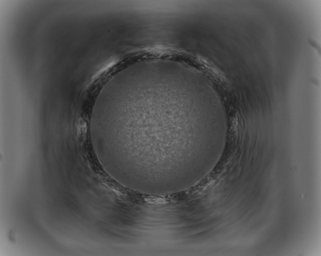 X0000096381302200801311250