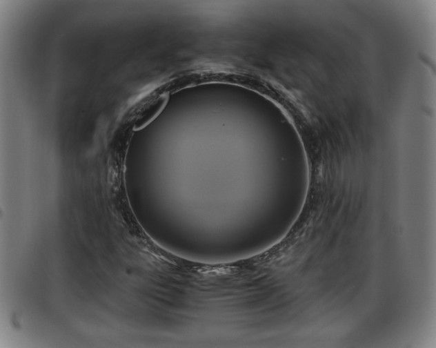X0000096381303200801311250