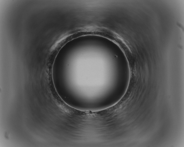 X0000096381304200801311250