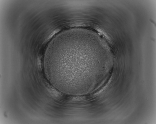 X0000096381305200801311250