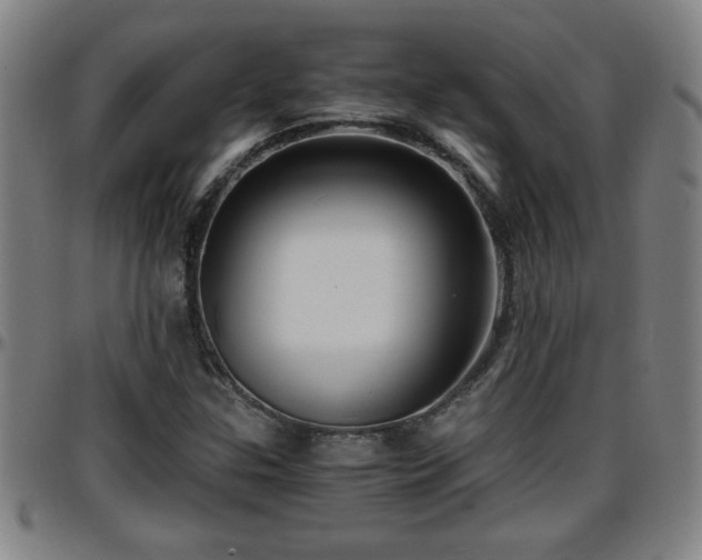 X0000096381307200801311250
