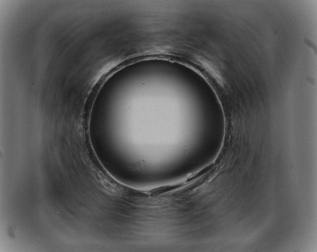 X0000096381308200801311250