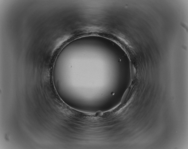 X0000096381309200801311250