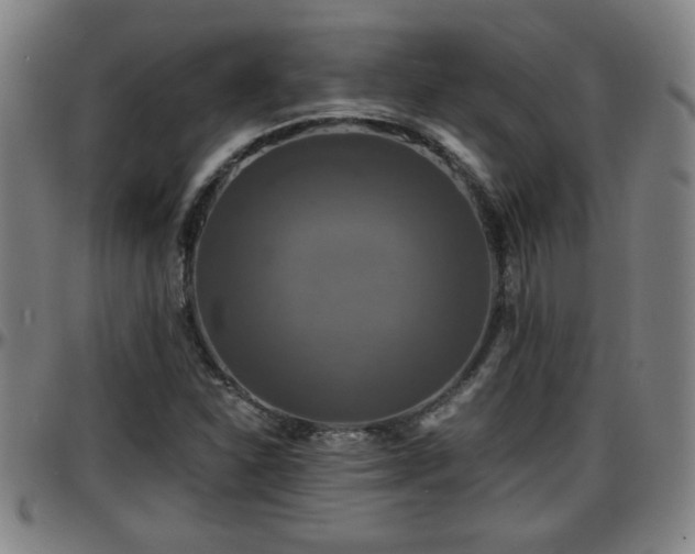 X0000096381310200801311250