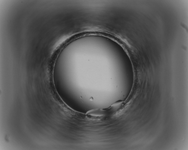 X0000096381311200801311250