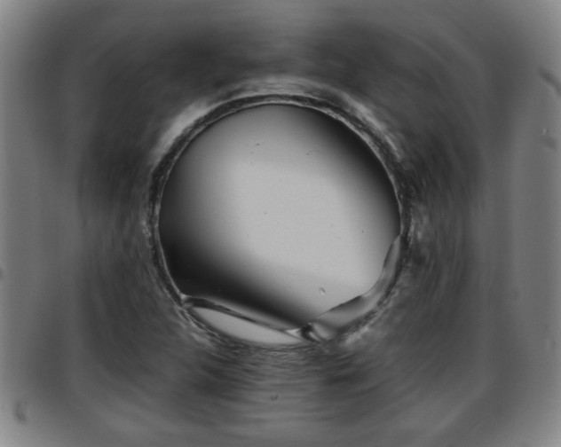 X0000096381312200801311250