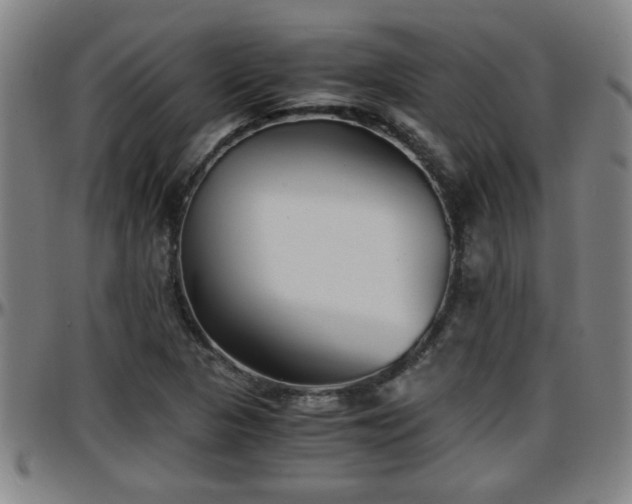 X0000096381313200801311250