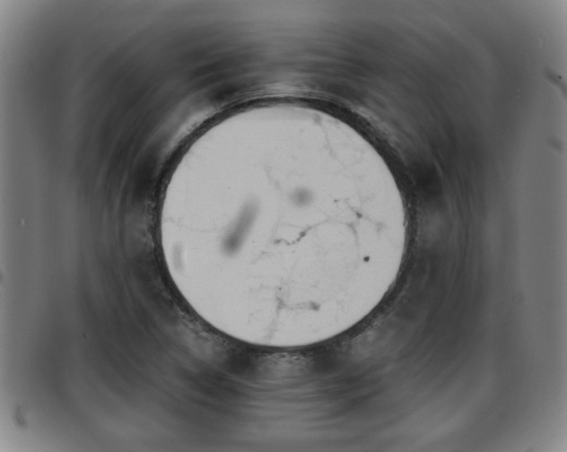 X0000096381314200801311250